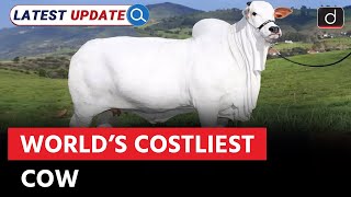 Indian Nelore Cow Sets Record Sale | Ongole Cow | Latest Update | Drishti IAS English