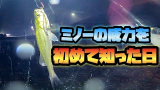 [Night Sea Bass] I learned the importance of lure rotation