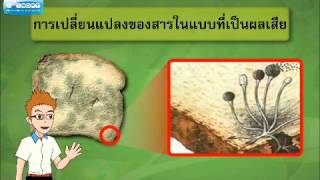 ผลที่เกิดจากการเปลี่ยนแปลงของสาร