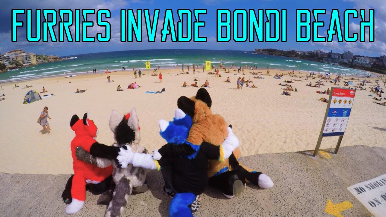 FURRIES INVADE BONDI BEACH (Pre Corona) - YouTube