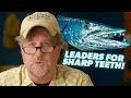 Q&A | #46 - Best LEADER Setups for TOOTHY Fish?