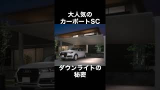 【カーポートSC】ダウンライトの注意点を2つ紹介します！#Shorts