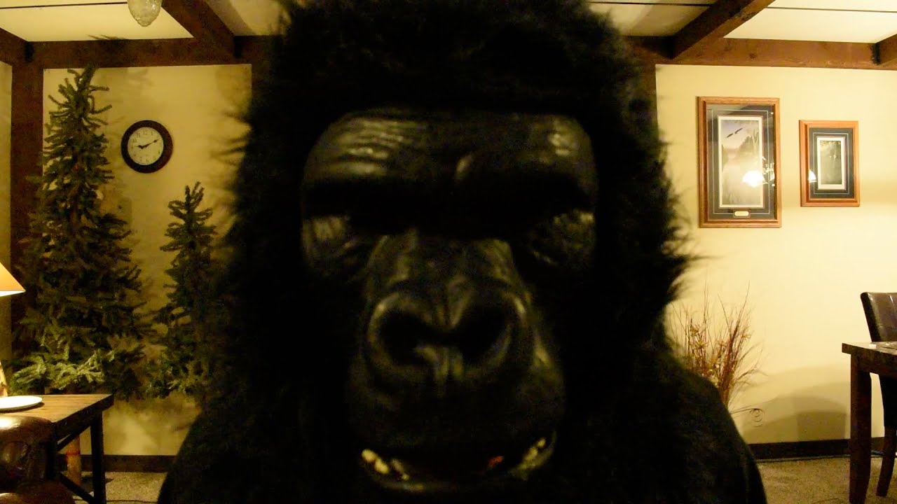Gorilla Dance Youtube