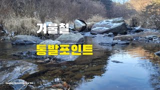 통발낚시 겨울철 통발낚시로 안주 잡아서 먹어보자 겨울철 통발포인트