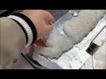 fish slicer slicing squid 2