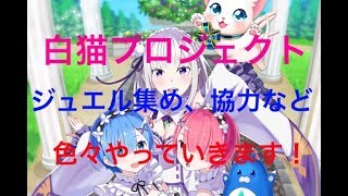 白猫プロジェクトイベントきたのでジュエル集めながら協力やっていきます！