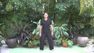 Wuji (18 rules of Posture) - Qigong Exercise