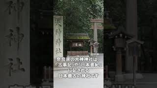 【この動画に引き寄せられたら神様に呼ばれたサイン】「大神神社」の超強力なパワーをいただく #shorts