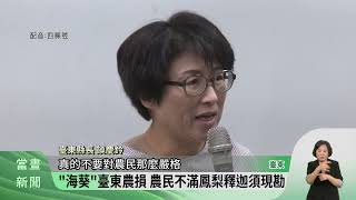 「海葵」臺東農損 農民不滿鳳梨釋迦須現勘【客家新20230915】