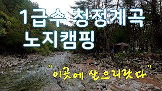 여름 캠핑에 최적지 물 맑은 청정계곡에서 캠핑/계곡과 솔숲이 있는 명품 노지 힐링캠핑/50대 커플캠핑/여름캠핑/내린천 계곡/이곳에 살으리랏다