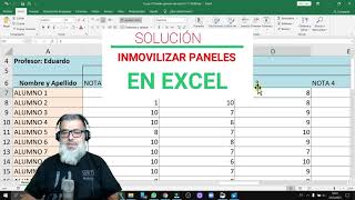 Cómo inmovilizar filas y columnas en Microsoft Excel 2019