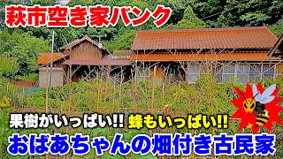 【移住】果物がいっぱい実るお婆ちゃんの畑付き200万円の古民家見てきた!!『萩市空き家バンク』