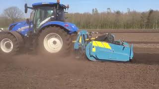 Imants Demo