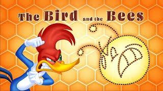 Woody Woodpecker In Wild Bill Hiccup A Walter Lantz Production Woody Woodpecker In Wild Bill Hiccup A Walter Lantz Production