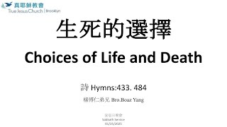 下午: 生死的選擇 Choices of Life and Death (01/25/2025)