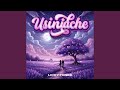 Usiniache (Acoustic)