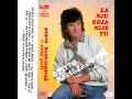 stevo damljanović za nju koja nije tu audio 1988.