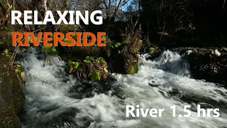 【川の音でリラックスする1時間35分】東北海道｜阿寒川｜Nature Sounds of Akan River | Eastern Hokkaido