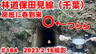 【2023年全線映像】春到来の房総で保田見線トンネル観光【ついに寄付を受ける】