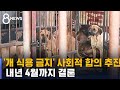 '개 식용 금지' 사회적 합의 추진…내년 4월까지 결론 / SBS