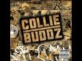 Collie Buddz- Come Around Instrumental