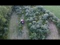 Brush Hogging Overgrown Field