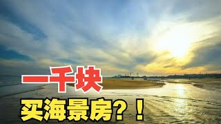 【1818黄金眼】坐大巴从绍兴去山东威海看房？老夫妻认购“海景”房