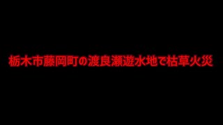 栃木市藤岡町の渡良瀬遊水地で枯草火災（岩舟町静からの様子）