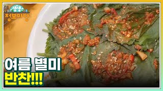 여름 별미 반찬!!! MBN 230627 방송