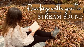 READ WITH ME by the forest stream 🪵🌲 NO MUSIC, water, river sound, nature ASMR, 1hr, no talking