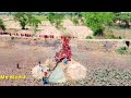 tungibandhali hanuman mandir pratista kalash yatra drone video