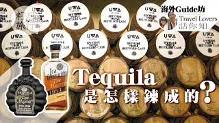 【墨西哥國飲】遠赴龍舌蘭酒的誕生地 教你烈酒的正宗飲法