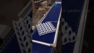 Conveyer for egg tray making machine