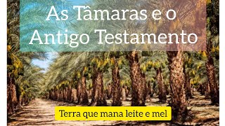 As Tâmaras e o Antigo Testamento