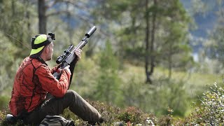 Hjortejakt Vinjeøra 2022