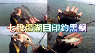 20230815台南七股潟湖目印釣黑鯛＃Fishing＃HP黑白釣