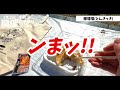 3年ぶりに開催！県内外から人人人！宇都宮市民が現地をレポート！宇都宮餃子祭り2022 japanese food gyoza in utsunomiya