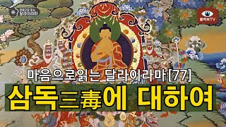 마음으로 읽는 달라이라마(77)_삼독에 대하여