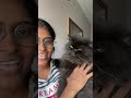 revealing our second pregnancy pregnancy cats mythu vlogs