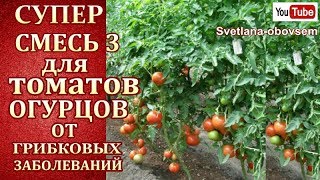 СУПЕР СМЕСЬ №1-в для ТОМАТОВ и ОГУРЦОВ от ФИТОФТОРЫ , АНТРАКНОЗА , ПЕРОНОСПОРОЗА ПОДКОРМКА