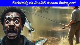 ಕೇರಳದಲ್ಲಿ ಫಿಶಿಂಗ್ 🤞🏻🤞🏻Fishing in Kerala #fishinglife #fishingtricksandtips #fishing #howtofishfry