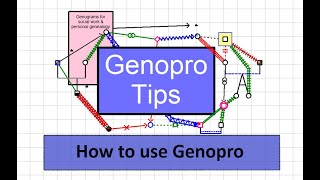 How to use Genopro