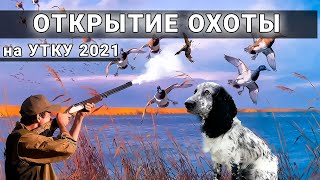 Лучшее ОТКРЫТИЕ ОХОТЫ на УТКУ в моей жизни. ТАКОГО Я ЕЩЁ НЕ ВИДЕЛ!