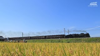 SLレトロみなかみ号 D51 498 2015年秋 (上越線)