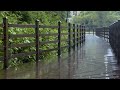 The best rain sound for insomnia sleep on a rainy walk ASMR Comfortable white noise