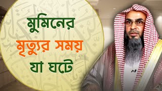 মুমিনের মৃত্যুর সময় যা ঘটে | Sheikh Motiur Rahman Madani