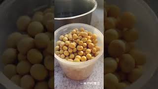 做豆漿/沒豆漿機/Soy Milk/簡單/好洗/豆漿製作/壓力鍋(V1)