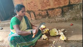 Kokan | पिकलेला कापा फणस | #villagelife #rajapur #villagevlog #fruit  @kokanatlochandurkar