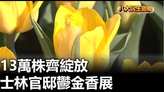 士林官邸鬱金香展 13萬株齊綻放 |【民生八方事】| 2023021104 @gtvnews27