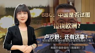 BBC：中国是否试图拉拢欧洲？卢沙野：不需要，我们的朋友遍天下